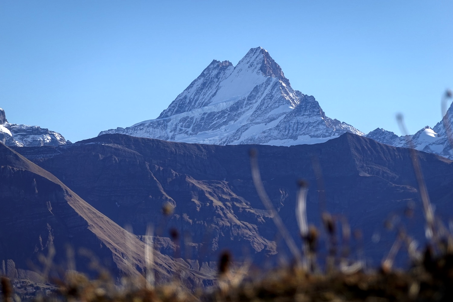 berg